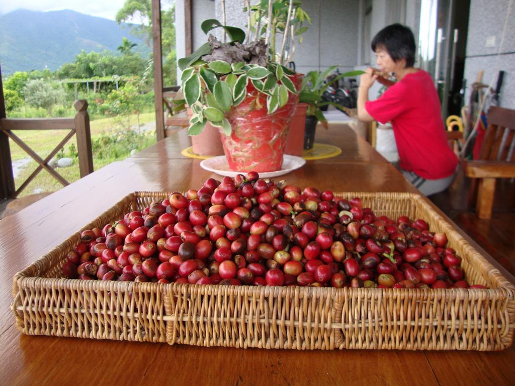 Taroko Sialin Coffee Farm Homestay Xiulin Dış mekan fotoğraf