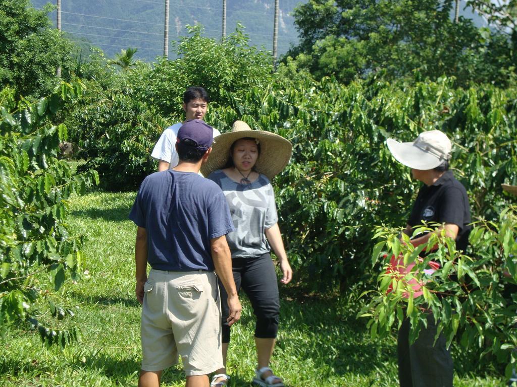 Taroko Sialin Coffee Farm Homestay Xiulin Dış mekan fotoğraf